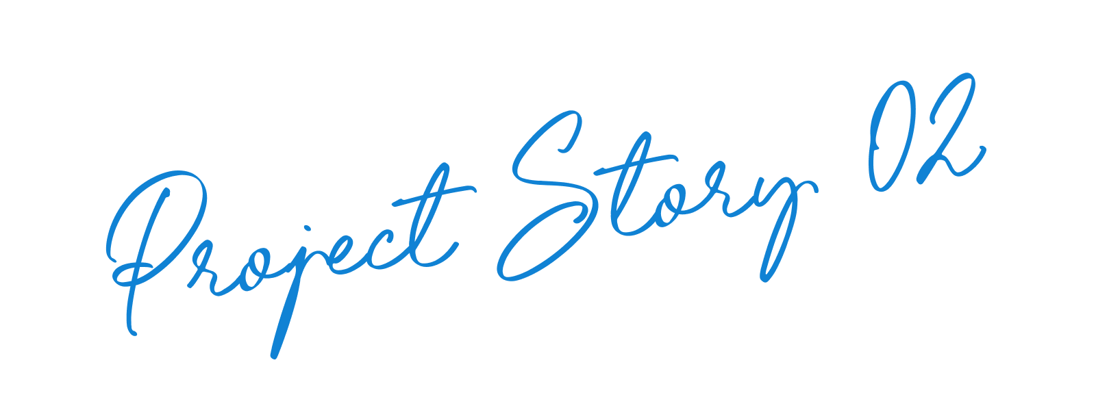 Project Story 02